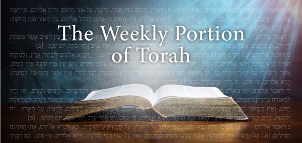 The Weekly Portion Of Torah - Mishkan Hakavana